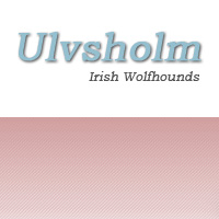 Ulvsholm - Opdræt af Irsk Ulvehund